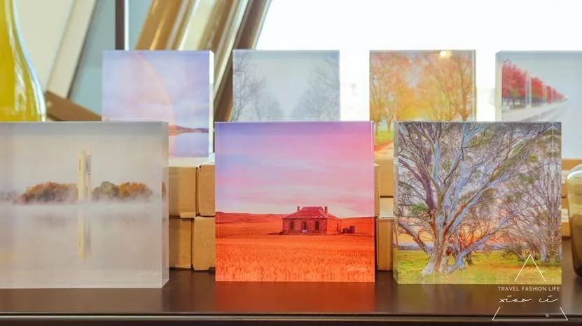 澳洲|春意堪培拉,看袋鼠、品酒、赏花、住进动物的家