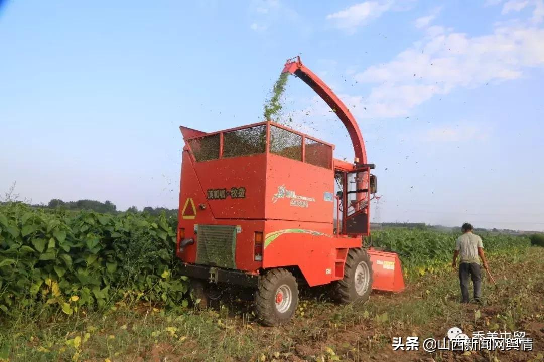 屯留区未来城市发展方向,屯留城区发展方向