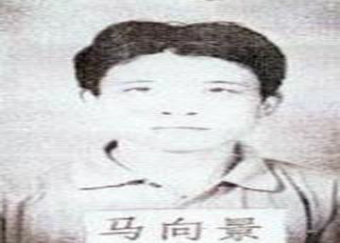 2003年汽车盗窃案,2009年汽车盗窃案