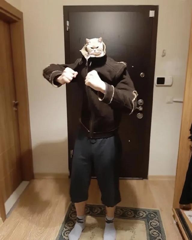 求兼职的表情包,表情包兼职可靠吗