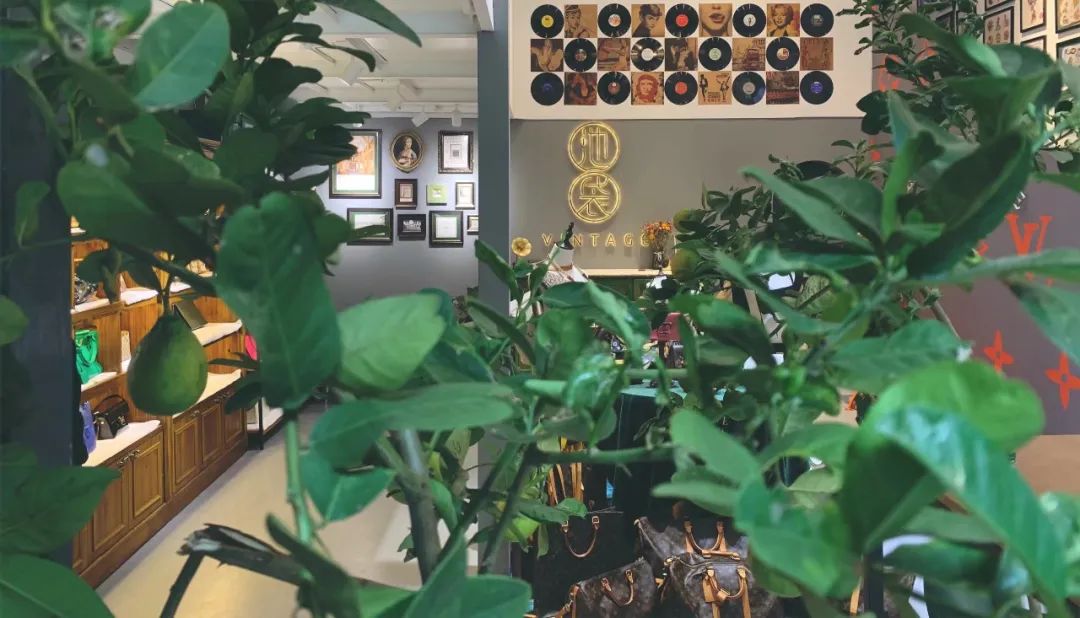 成都最全中古地图/当代年轻人正在沉迷这些“上了点年纪”的东西