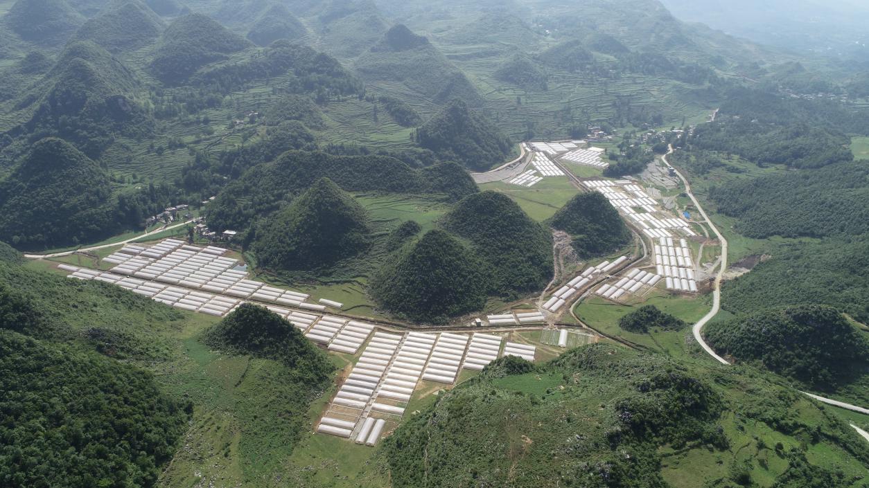 赫章县易地扶贫搬迁2批,赫章县河镇乡易地扶贫搬迁房