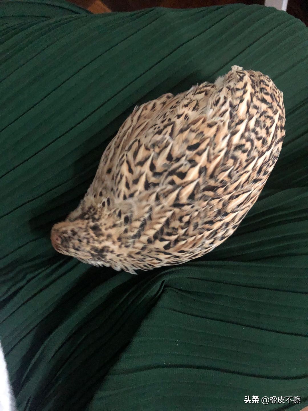 生而为妈，一个小学生的生日蛋糕能有多尬