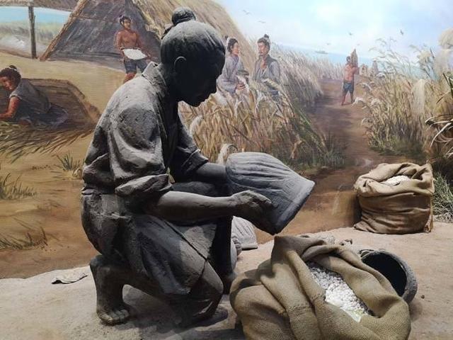 清朝盐税收都有多少,清朝时期的税关是现在的什么