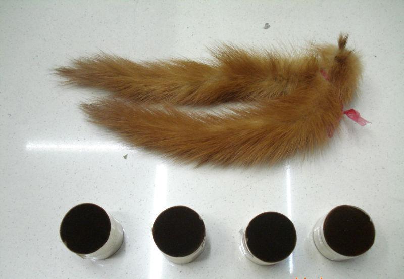 枪打黄鼠狼泡药酒,四川一男子被判刑!黄鼠狼为什么受保护?