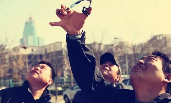 训鸟视频大全,训鸟入门基础知识