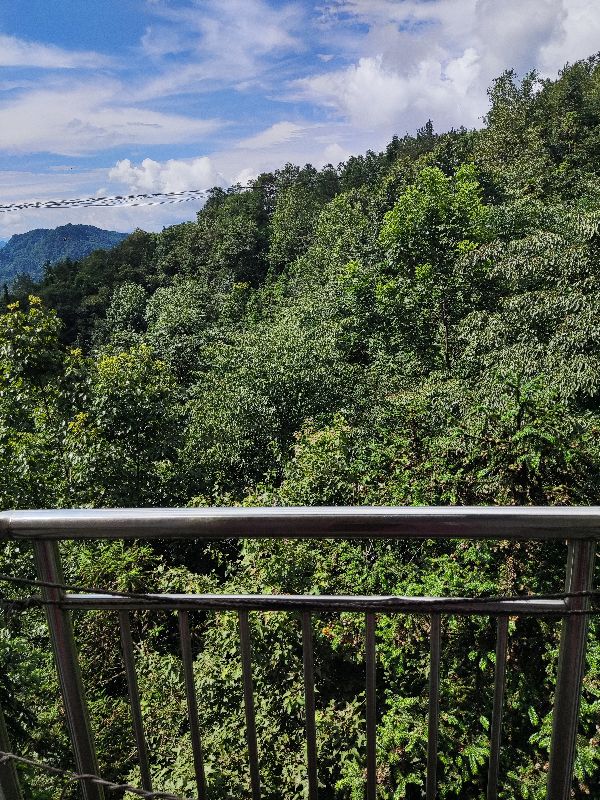 赤日炎炎似火烧谁作的诗,赤日炎炎似火烧下一句是什么