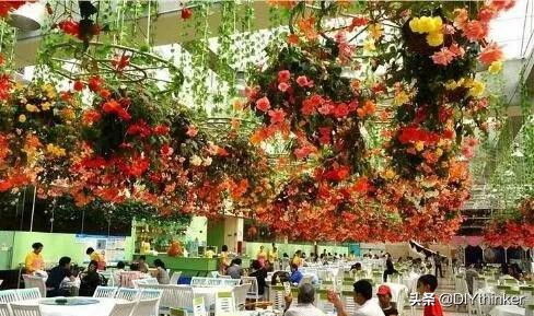 农村最赚钱的四大项目,农村冷门好项目有哪些呢