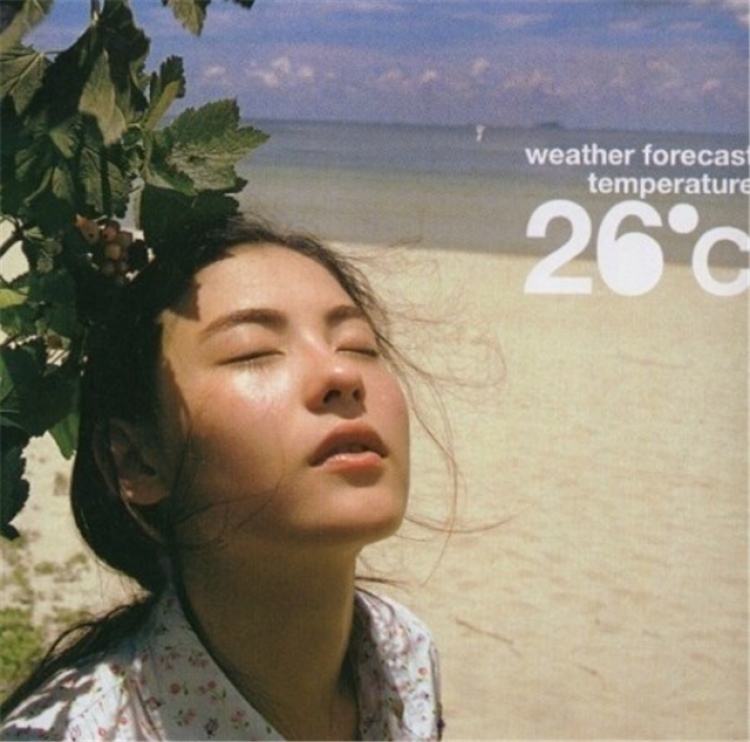 隆鼻张柏芝鼻型,浪姐张柏芝新消息