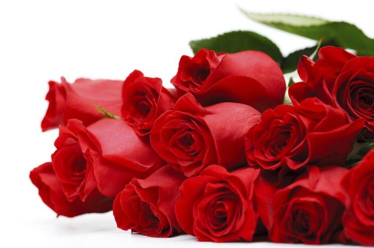 情人节最火爆的礼物,情人节生意火爆