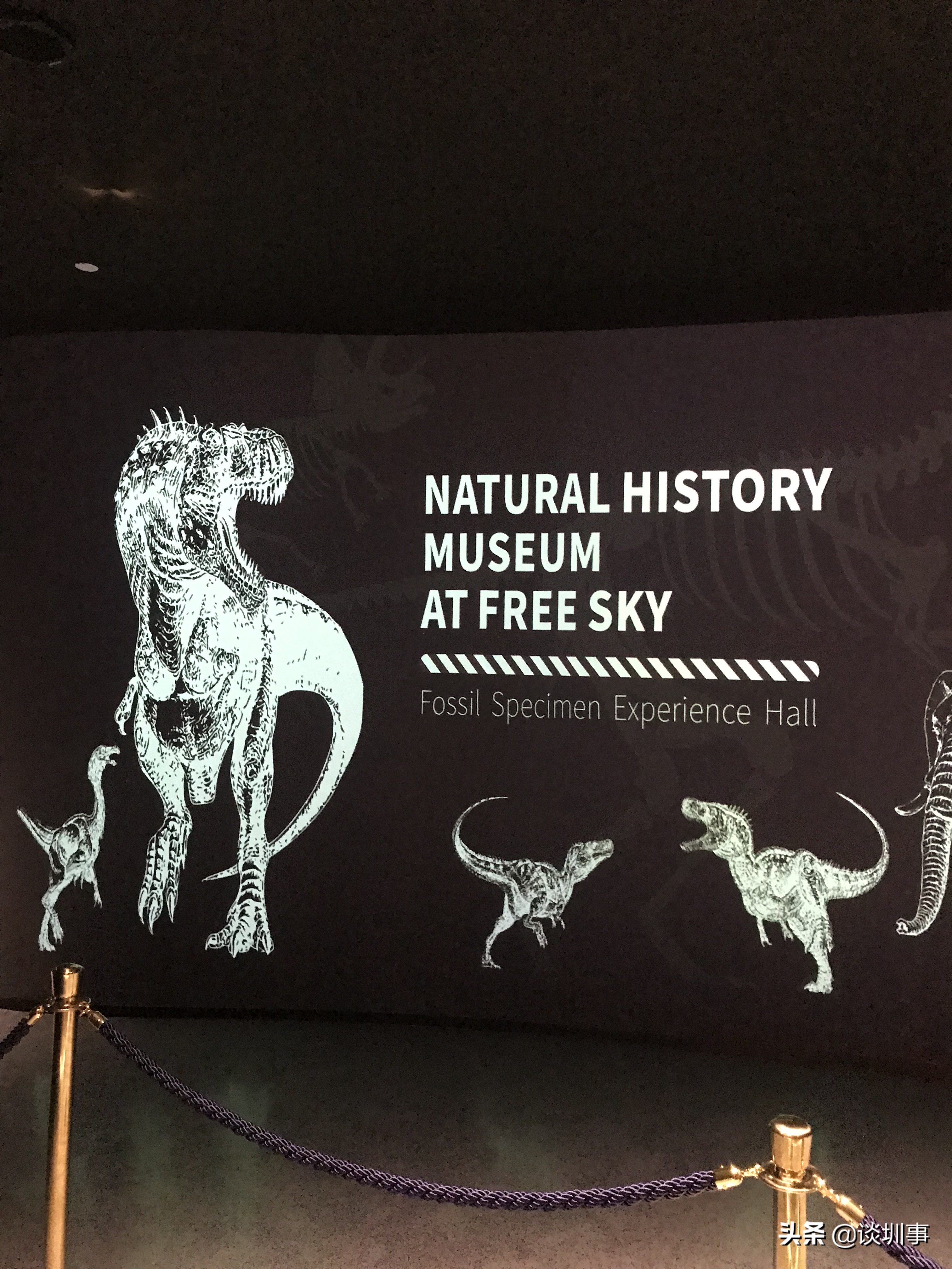 登顶深圳第一高楼,登上深圳平安金融大厦