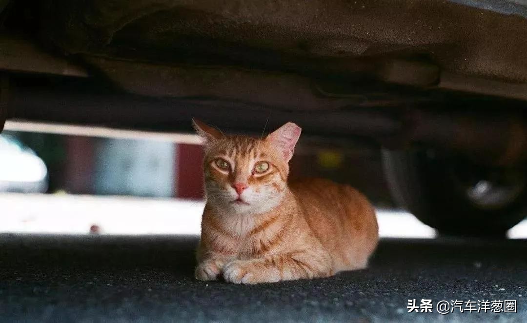 汽车发动机护板有啥好处,家用车到底要不要装发动机护板