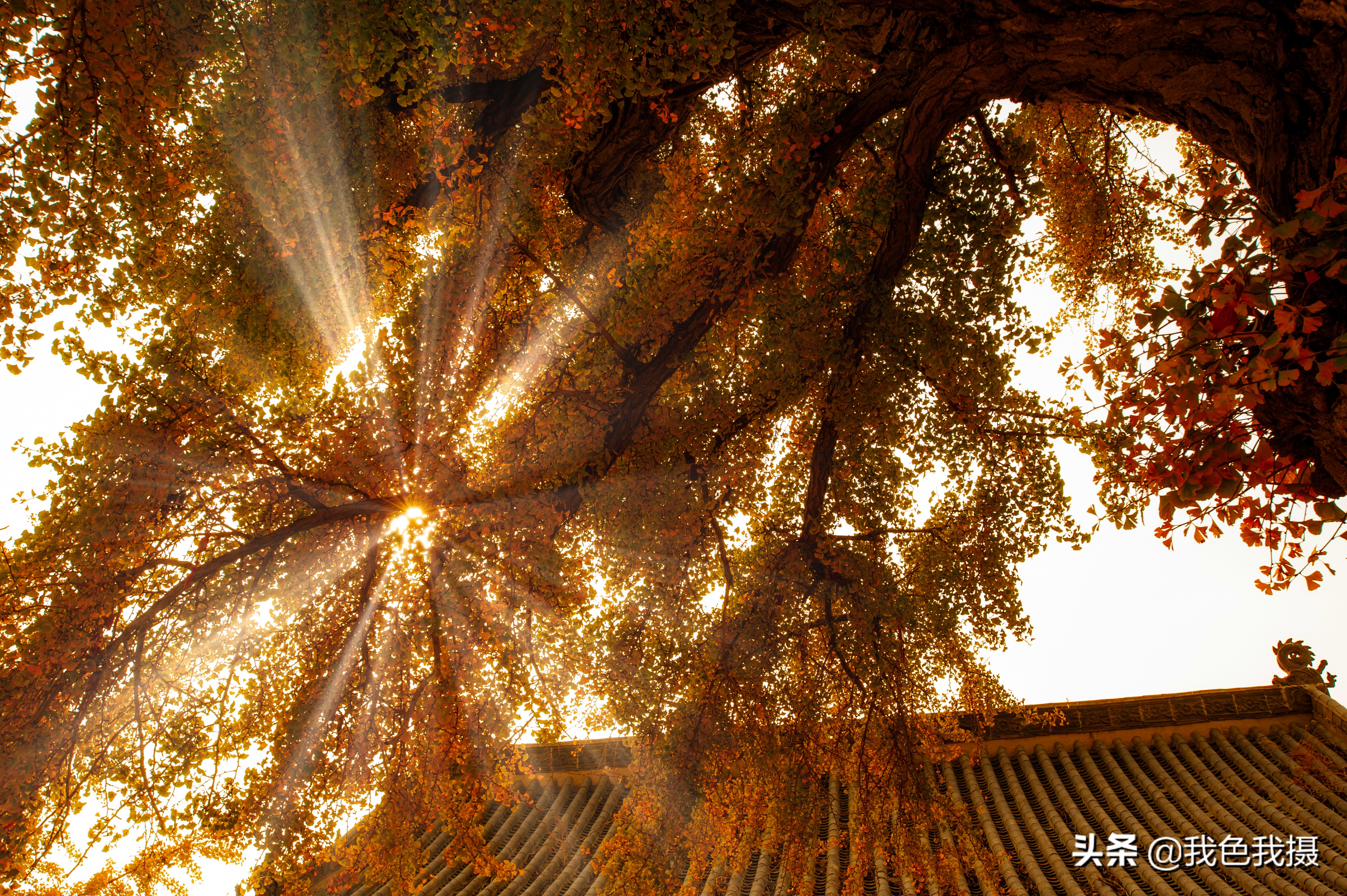 尼康D700加金广角PK佳能R5加16-35F4，微单不微