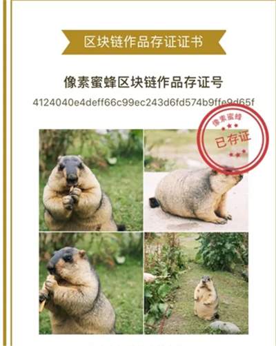 拍照也能赚钱的兼职干货分享,手机拍照兼职赚钱的方法