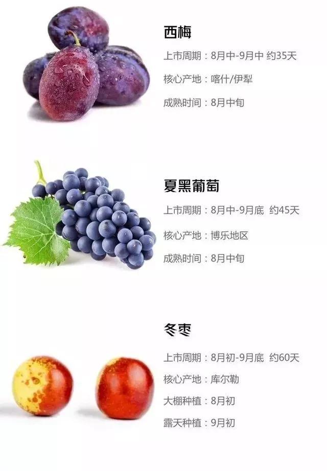 新疆的瓜果几月份成熟,新疆目前应季水果