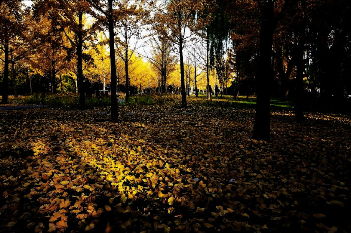 关于抒情散文你知道多少,有关抒情的诗