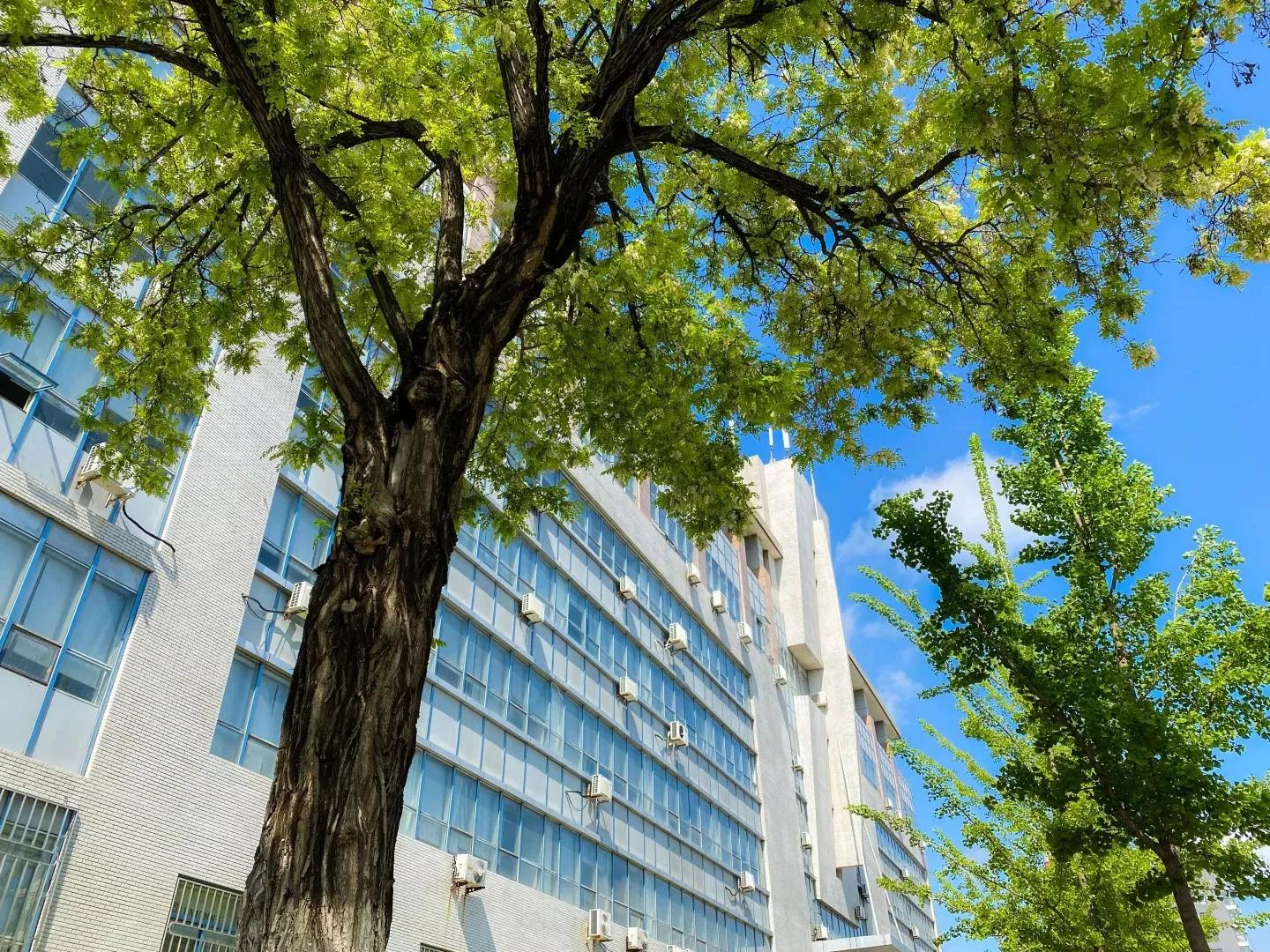 辽宁师范大学辽宁省一流课程,辽宁省普通高等院校