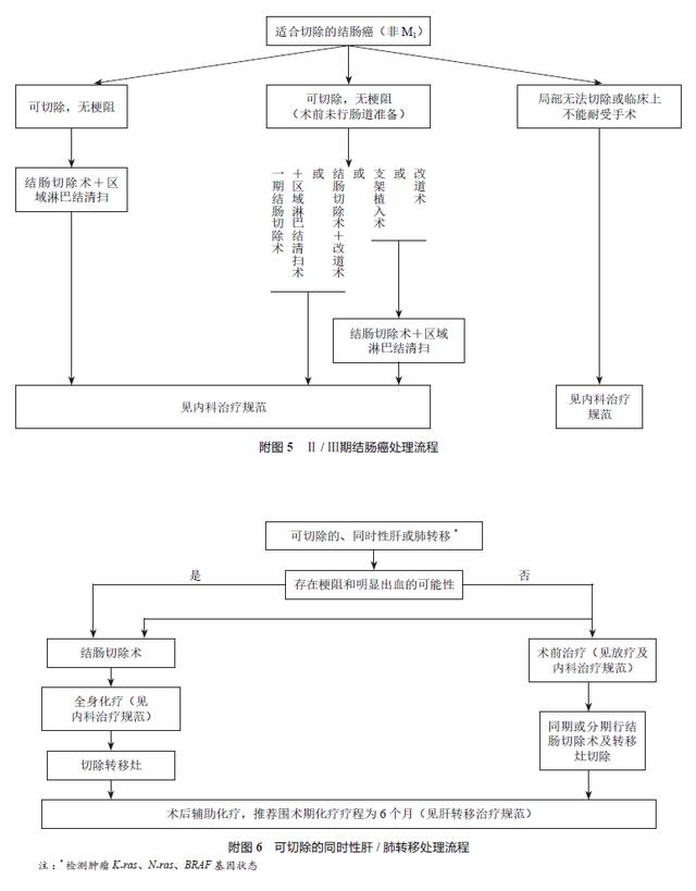 中国结直肠癌诊疗规范(2017年版)