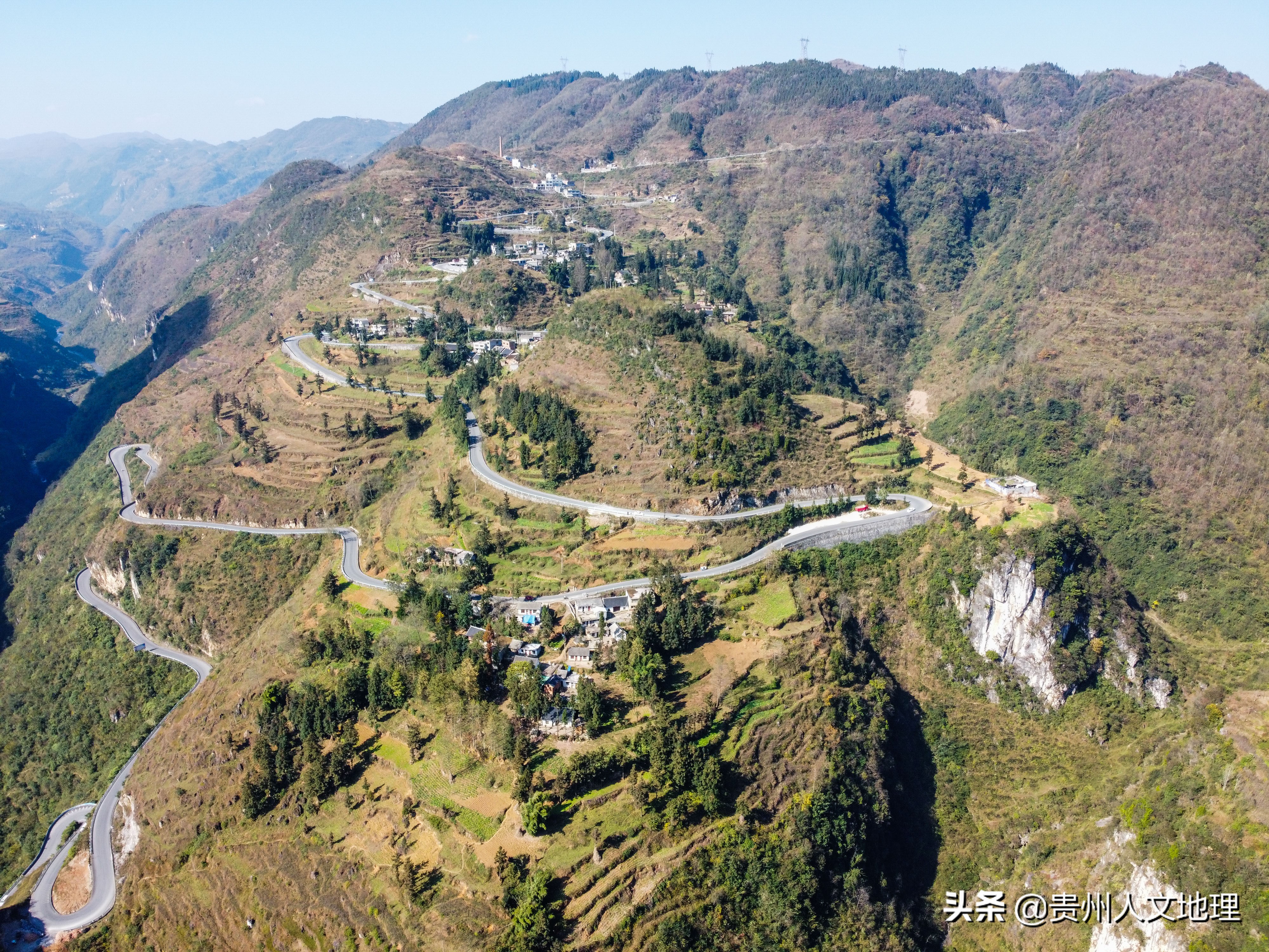 六旬老翁学养蜂网络直播卖蜂蜜年入近40万,取名小龙女