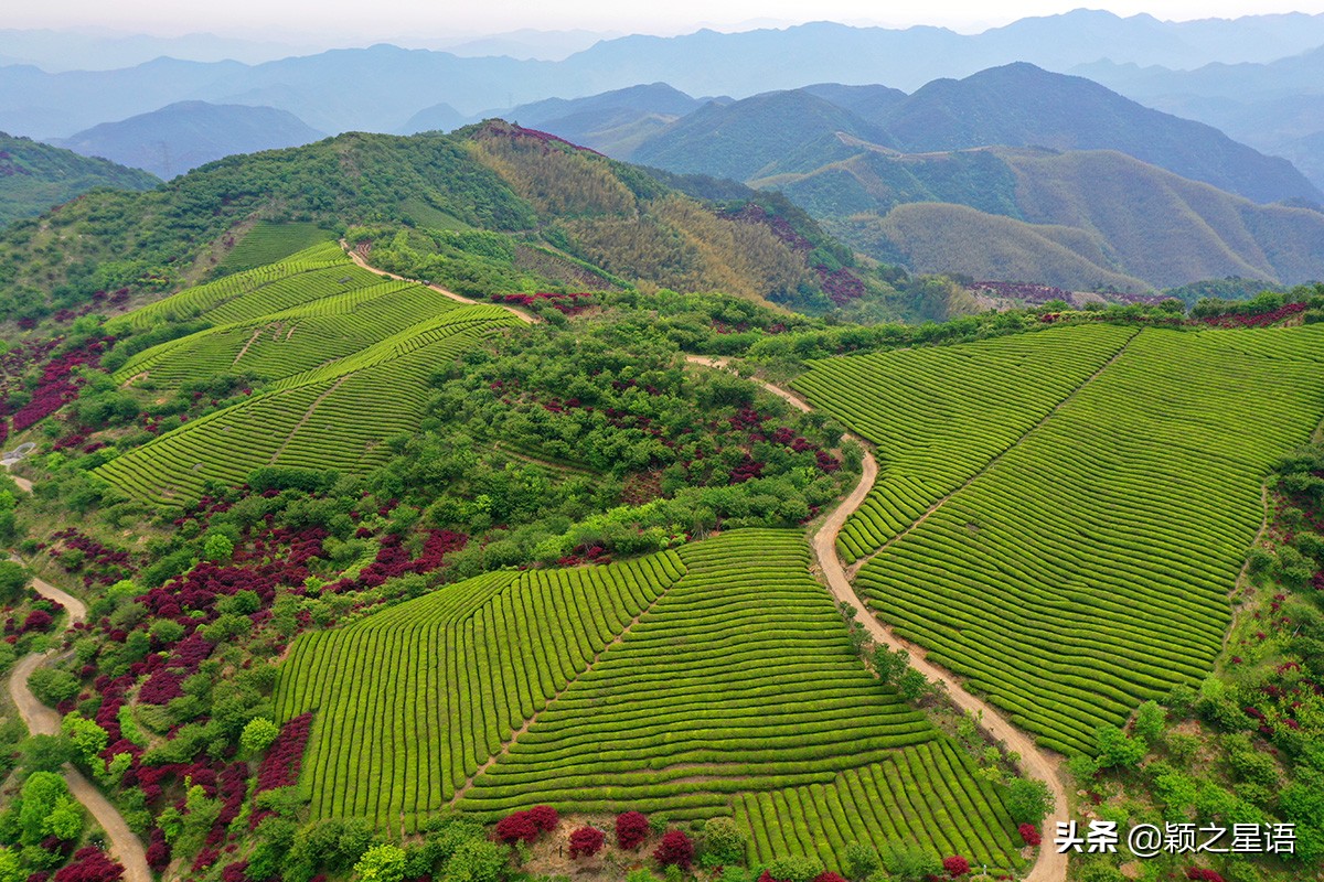 五角山航拍,五角地带