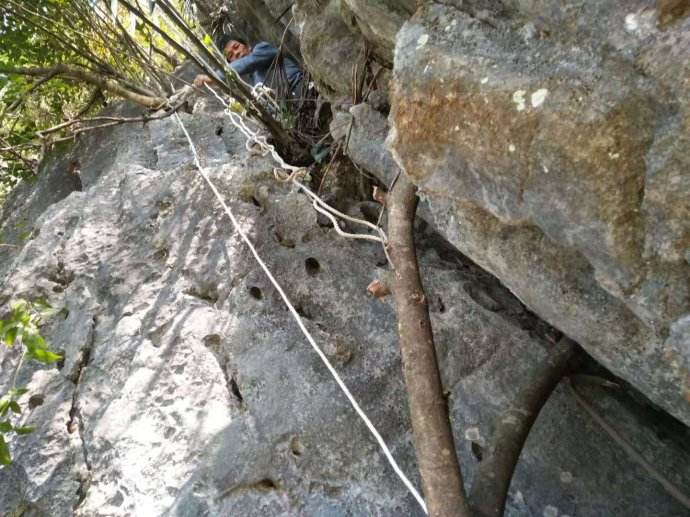 野生蜜蜂选巢全过程,找蜜蜂老巢最简单方法