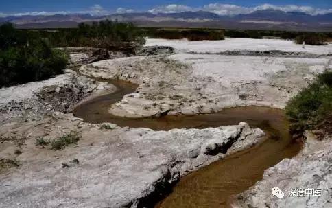 中医角度痛风的病因是什么,中医如何认识痛风