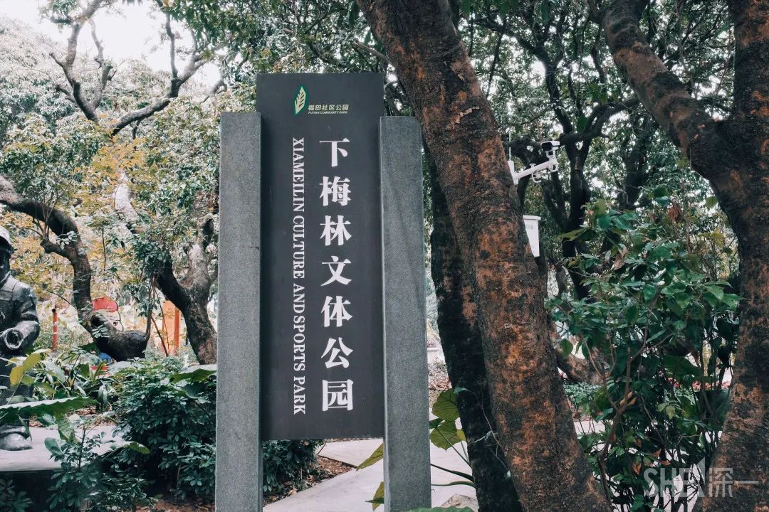 疫情期间免费开放的公园,疫情期间开放的公园有哪些