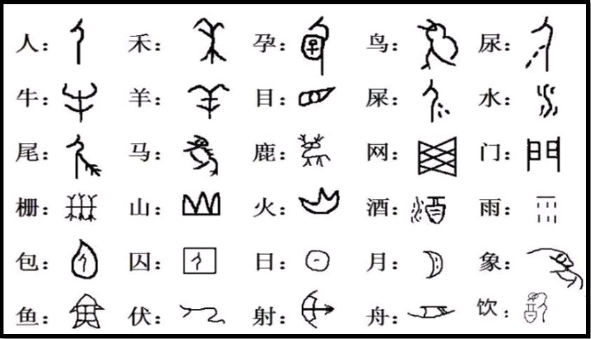 为什么废除繁体字,中国为什么把繁体字改为简体字