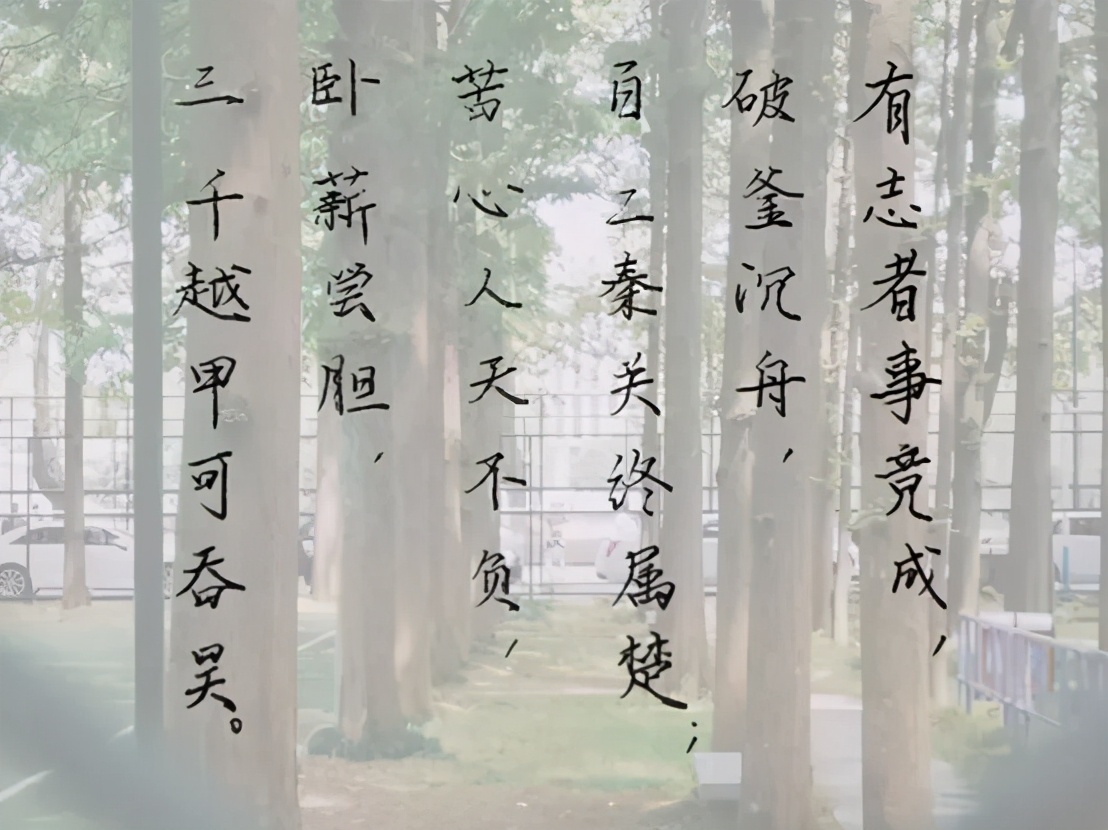 就业率100%,就业率100%大专