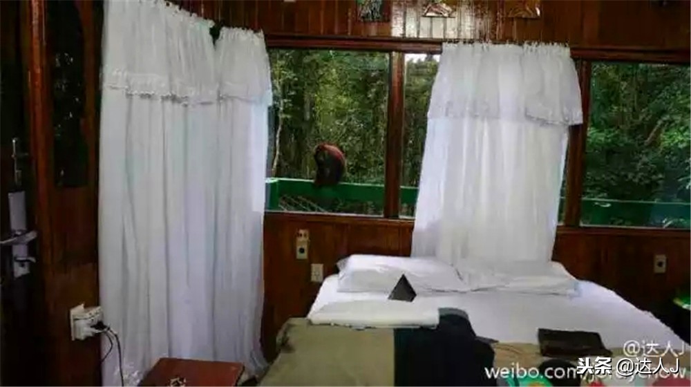 全国10大特色酒店,全国十大最具特色酒店