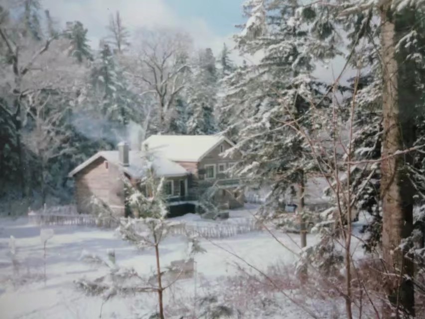 伊春林区往事,伊春林区往事1982年