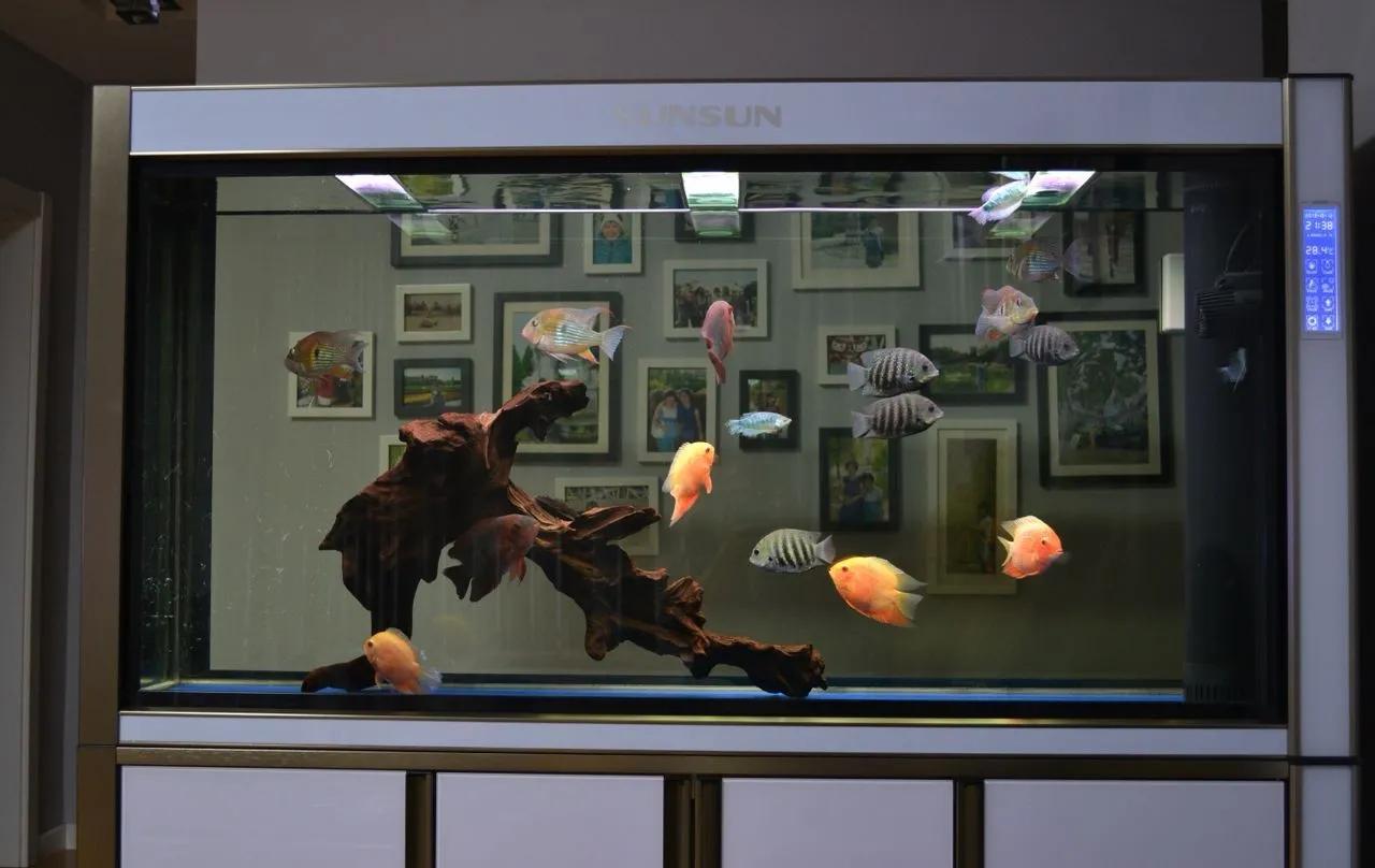 成品鱼缸上滤盒改造,制作一口鱼缸需要多少钱