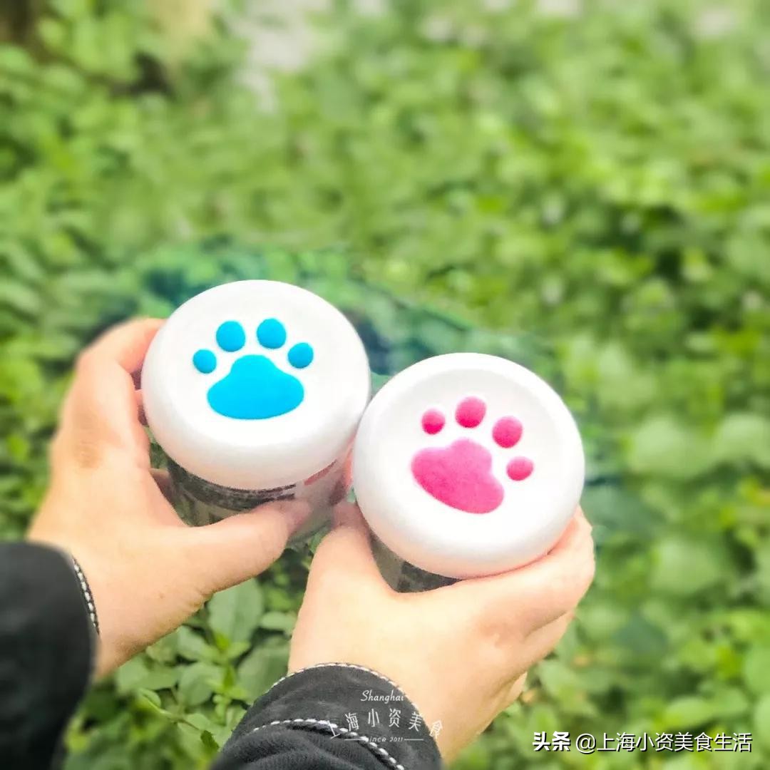 2020年星黛露迪士尼,迪士尼冰淇淋星黛露