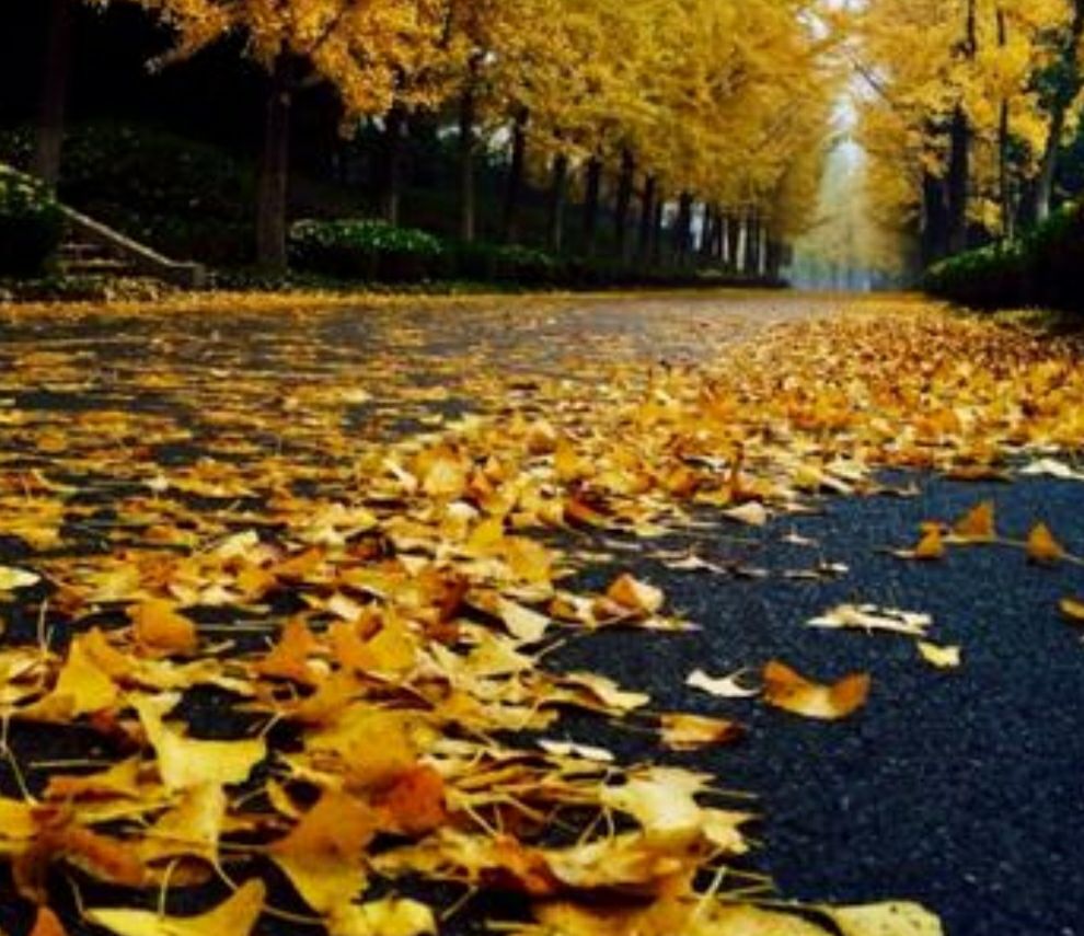 濡堝鐨勭溂鐫涘湪鍝噷,濡堝鐨勭溂闀滀笉瑙佷簡