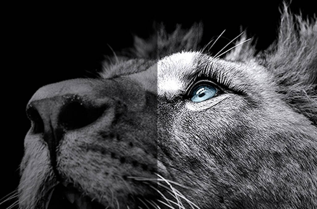 不用遥控器的投影仪,如何智能遥控投影仪