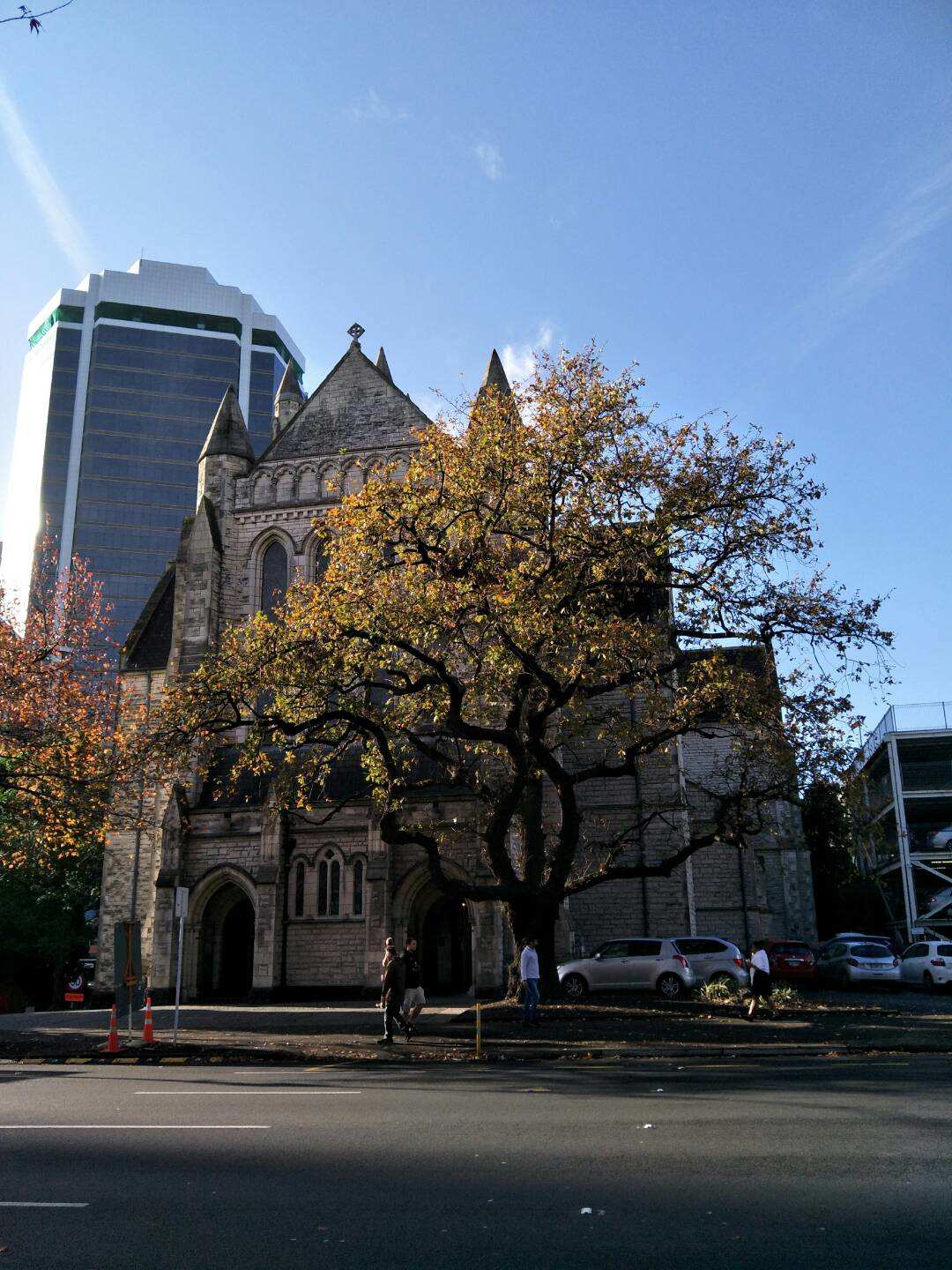 新西兰奥克兰北岸旅游,新西兰奥克兰北岛攻略