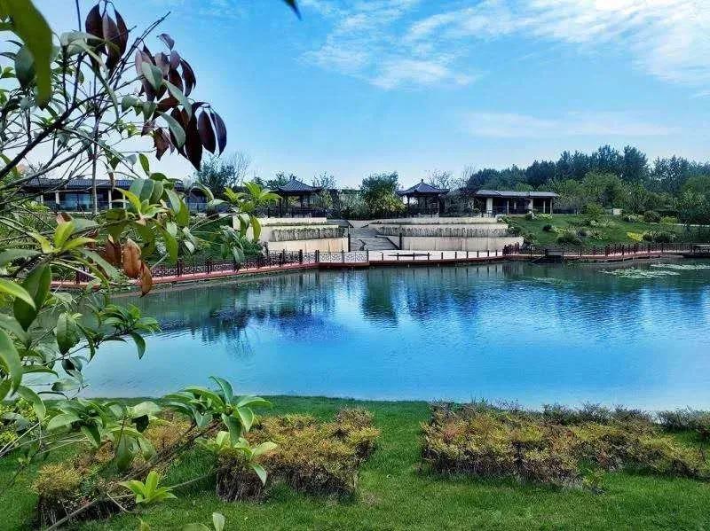 滁州高端酒店自助,滁州高档型酒店推荐