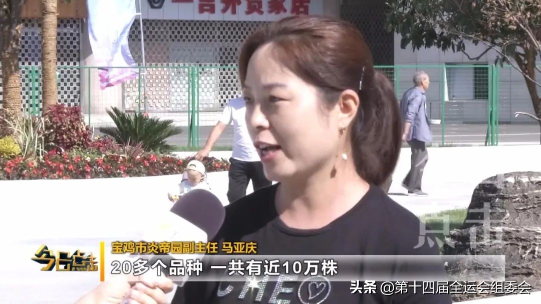 相约陕西逐梦全运,相约西安筑梦全运女足