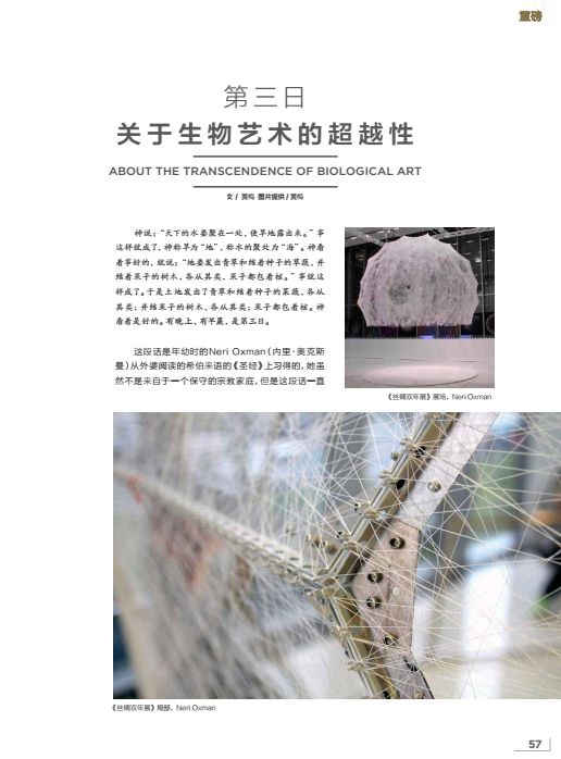 亚文化逆袭｜《艺术商业》11月刊