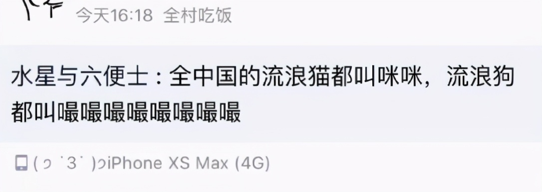 古代猫名字,古代猫的名字