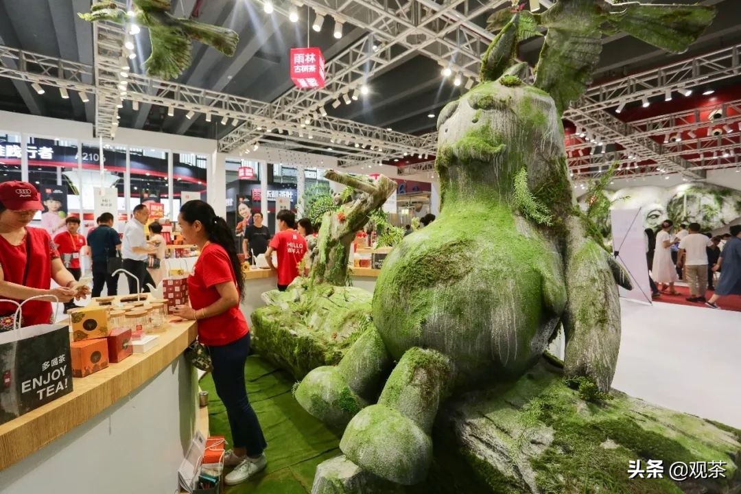茶界创新还要看雨林