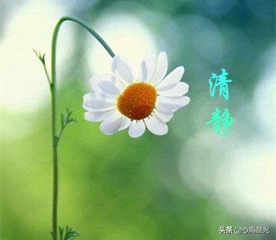 道家清静法门,道家清静经原文