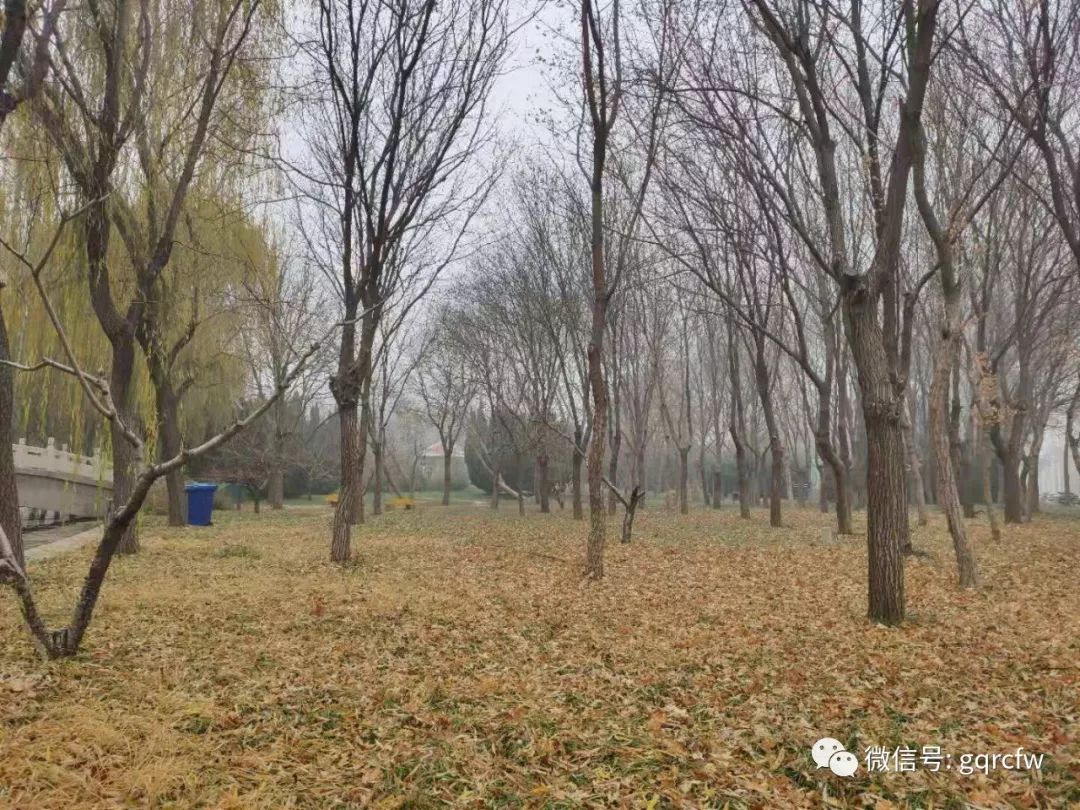 国庆人才需求,国庆人才推介2019