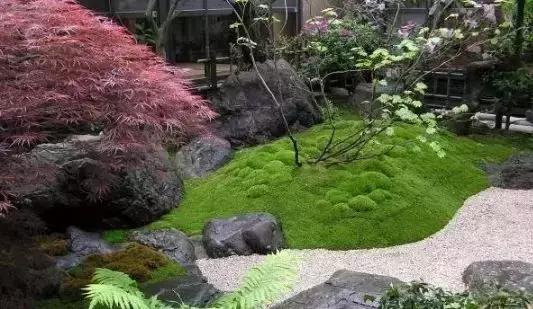 禅意庭院一定要用苔藓吗,禅意苔藓微景观制作视频
