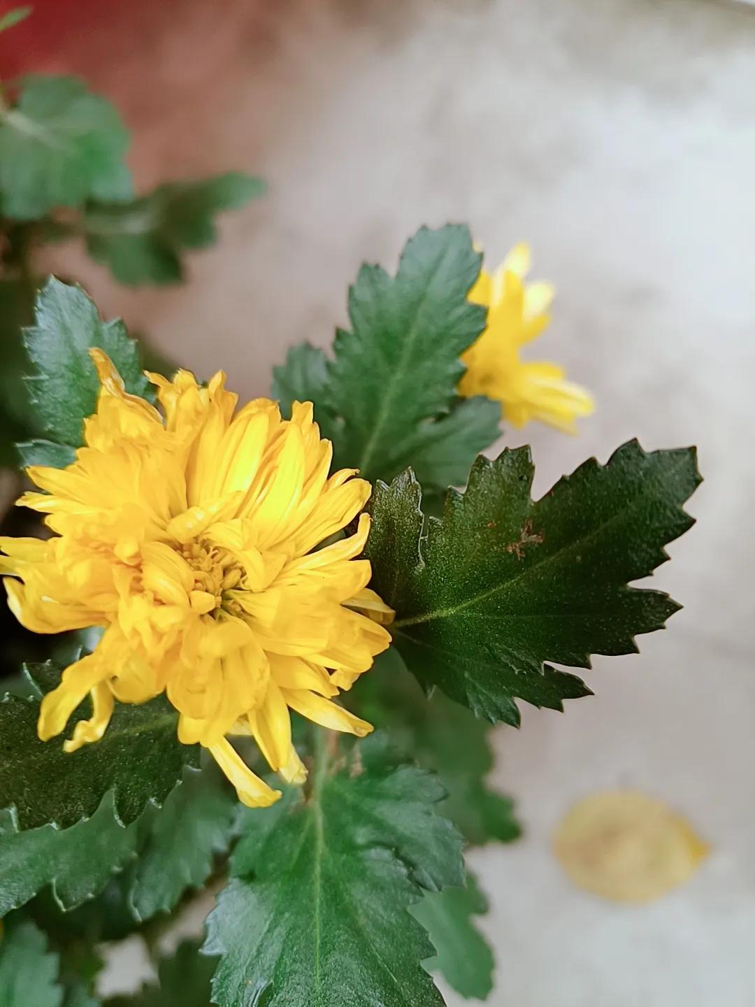 现实中爱情的样子,#爱情最美的样子