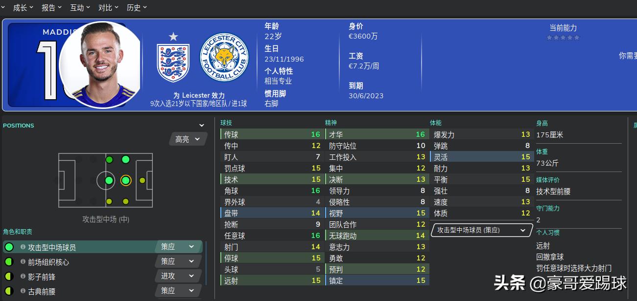 fm2020足球经理,fm2020足球经理有手机版吗