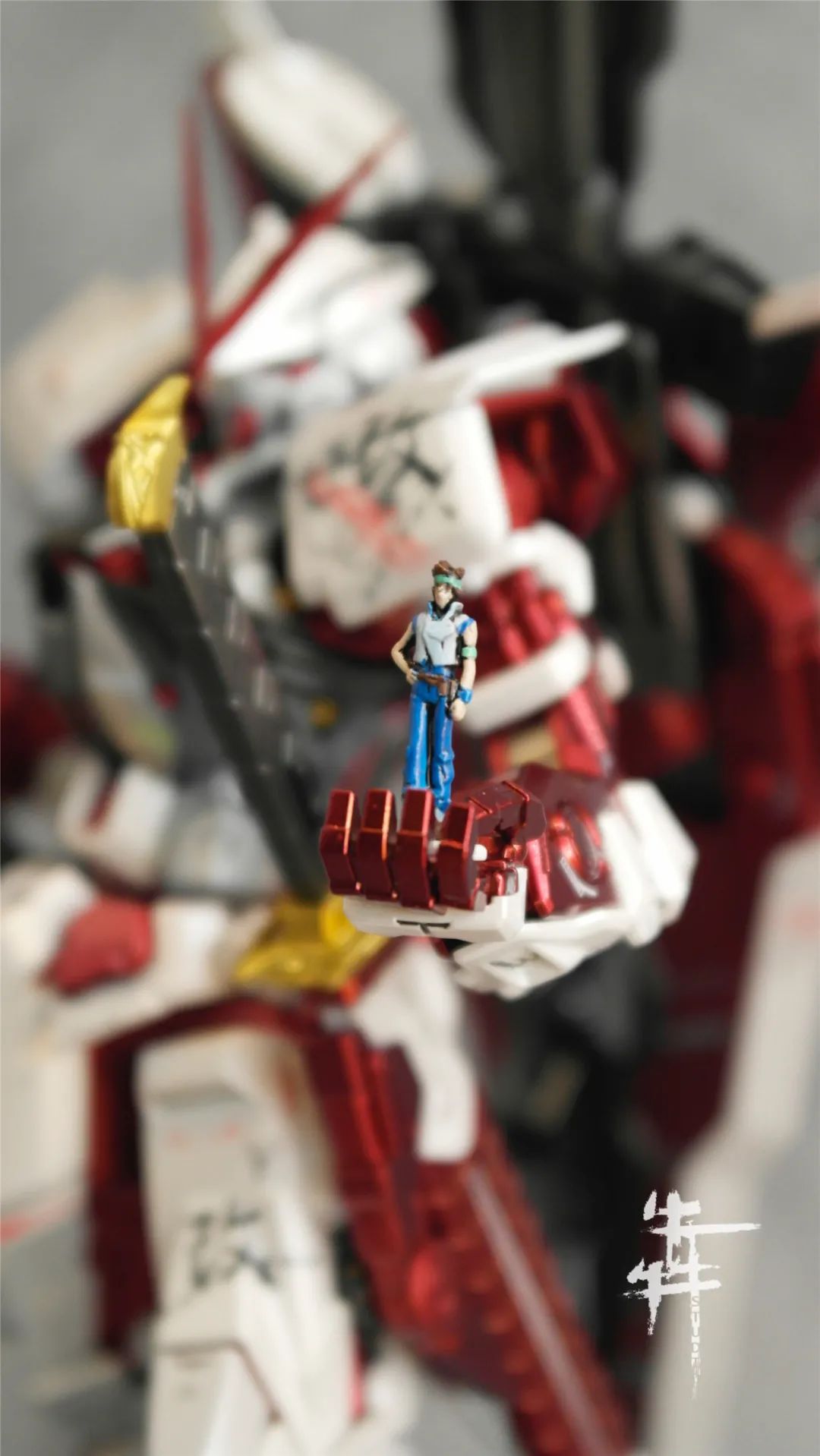 红异端倒挂,看家菜的做法大全家常