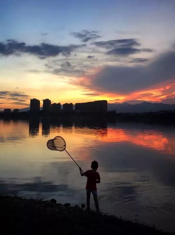 赞别人拍的照片,你用手机拍过哪些最美的照片