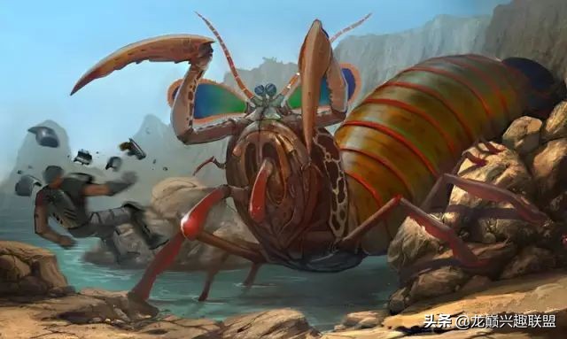 小小的皮皮虾真的有那么厉害吗,深度揭秘皮皮虾