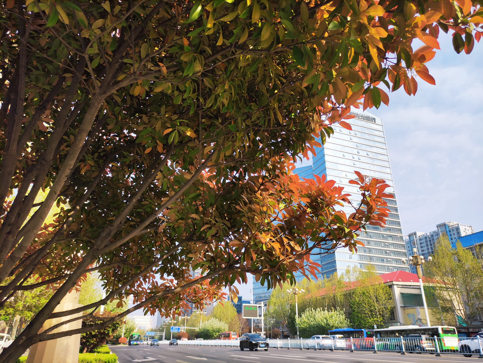 石家庄气候,石家庄属于什么气候